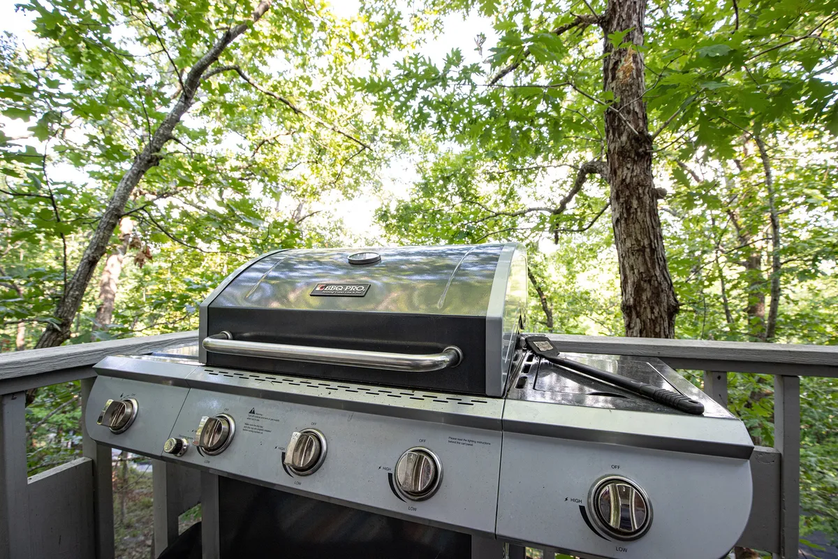 This exterior shot features a grill against a backdrop of trees, suggesting a casual outdoor dining and gathering area. The sunset light provides a warm, relaxed mood perfect for group barbecues and evening get-togethers.